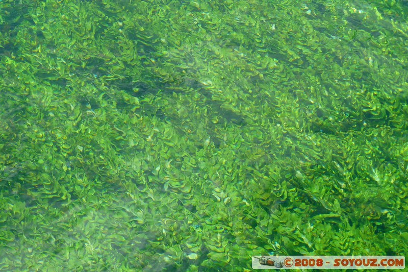 Fontaine-de-Vaucluse
Mots-clés: Riviere