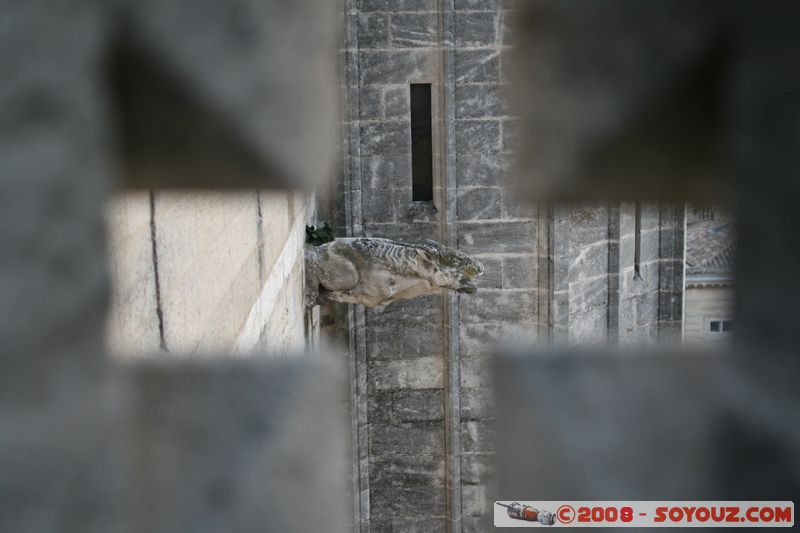 Avignon - Palais des Papes - Gargouille
Mots-clés: Eglise chateau patrimoine unesco