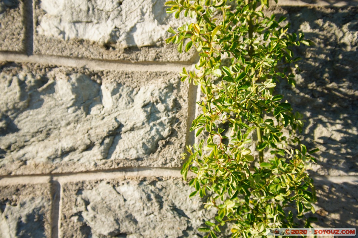 Annecy-le-Vieux
Mots-clés: Annecy-le-Vieux Auvergne-Rhône-Alpes FRA France plante Lumiere
