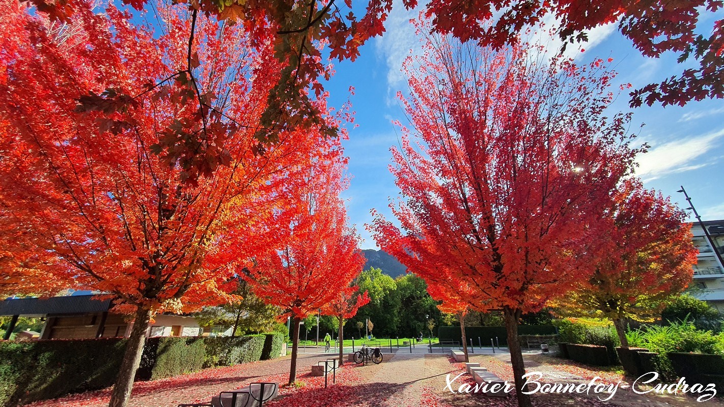 Annecy-le-Vieux - Parc Vigniere-Pommaries
Mots-clés: Annecy-le-Vieux Auvergne-Rh&ocirc;ne-Alpes FRA France geo:lat=45.91260355 geo:lon=6.14814475 geotagged Les Pommaries Automne Lumiere Arbres
