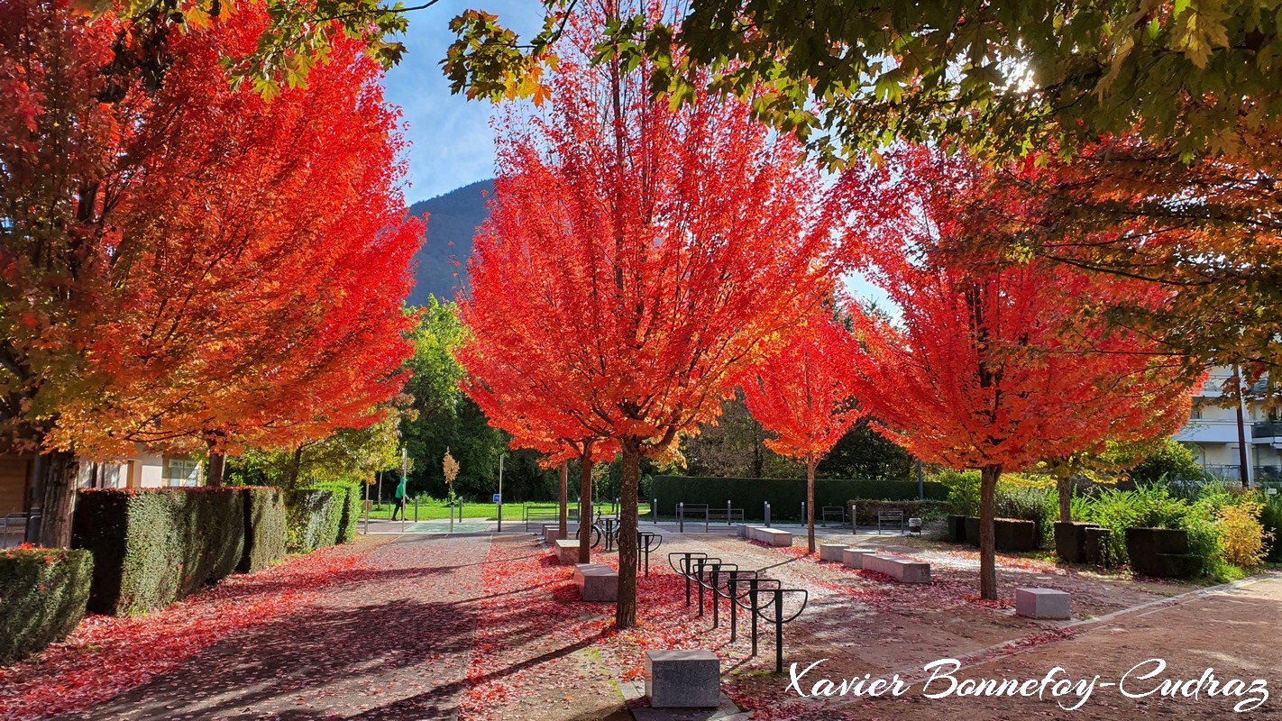 Annecy-le-Vieux - Parc Vigniere-Pommaries
Mots-clés: Annecy-le-Vieux Auvergne-Rh&ocirc;ne-Alpes FRA France geo:lat=45.91260355 geo:lon=6.14814475 geotagged Les Pommaries Automne Lumiere Arbres