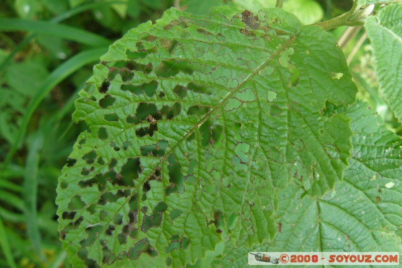 Reserve Naturelle du Bout-du-Lac
