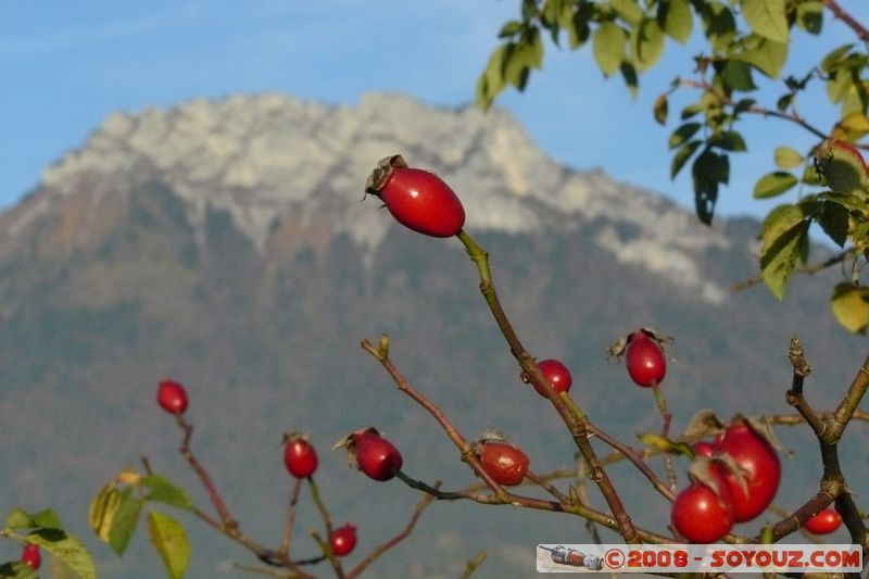 Duingt - La boucle du Taillefer
