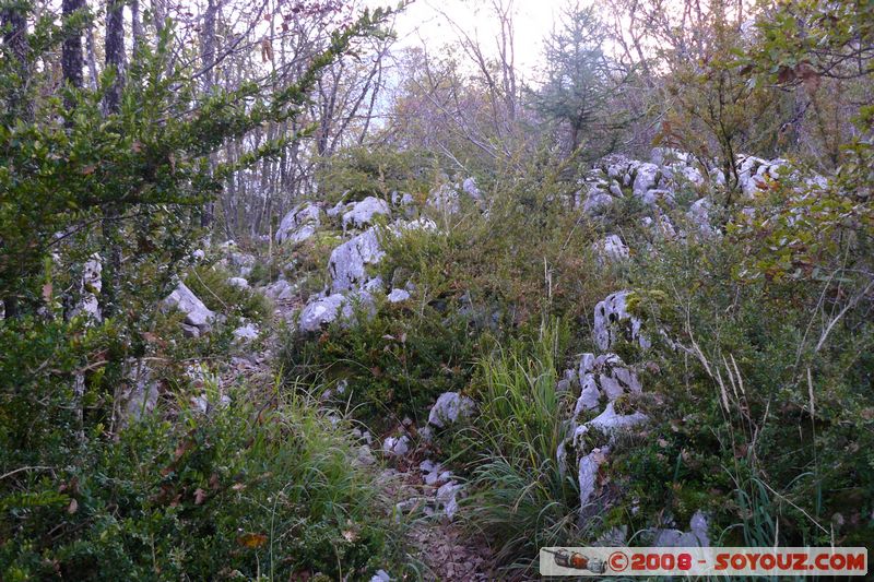 Duingt - La boucle du Taillefer
