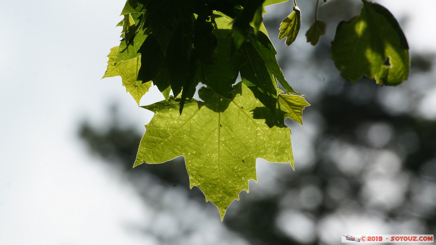 Annecy-le-Vieux - Chavoire
Mots-clés: Auvergne-Rh&ocirc;ne-Alpes Chavoire FRA France geo:lat=45.89841520 geo:lon=6.16250564 geotagged Veyrier-du-Lac