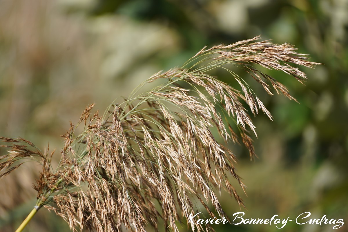 Annecy-le-Vieux - Albigny
Mots-clés: Albigny Annecy-le-Vieux Auvergne-Rh&ocirc;ne-Alpes FRA France geo:lat=45.90552196 geo:lon=6.15739569 geotagged Lac Roseau