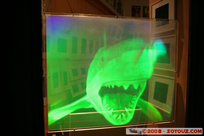 Budapest - Ferenciak Tere - Hologramme
