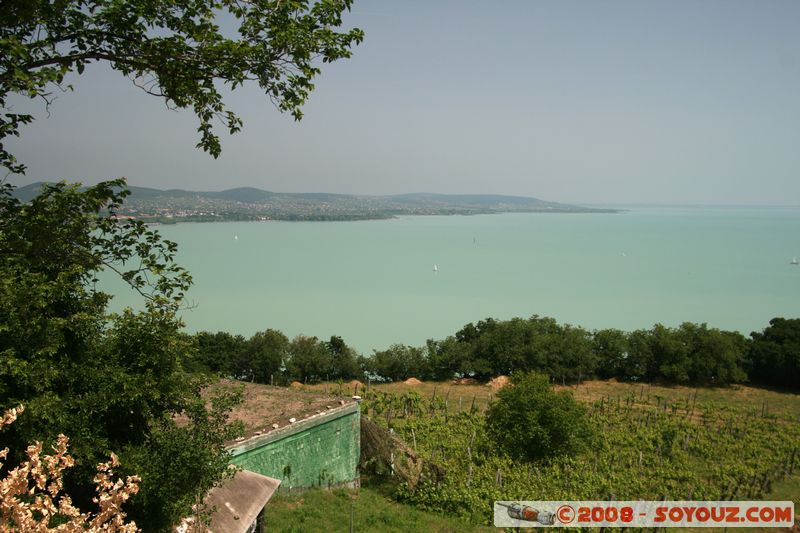Tihany - View on Balaton lake
Mots-clés: vignes Lac