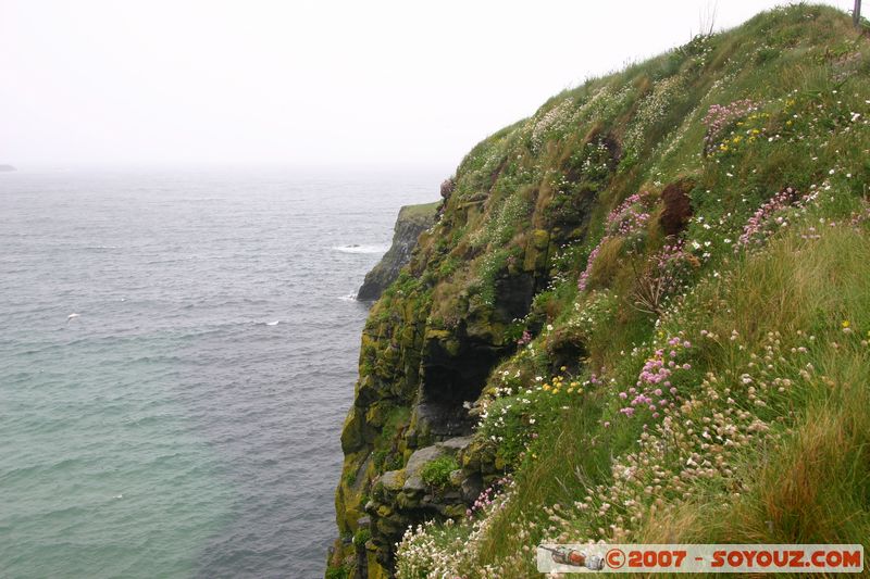 Carrick-a-rede Rope Bridge
