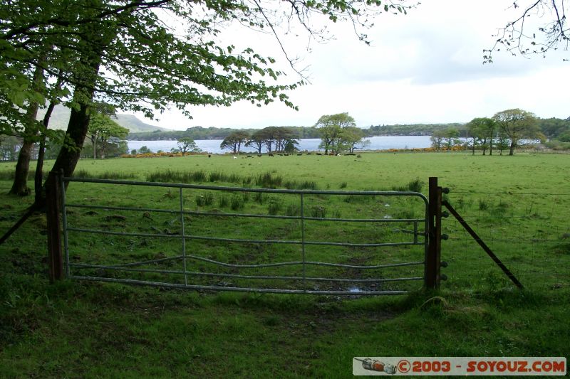 Killarney National Park - Lough Leane
