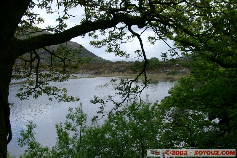 Killarney National Park - Lough Leane
