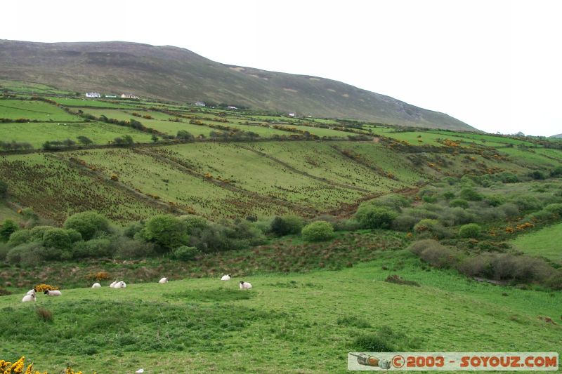 Dingle Peninsula
