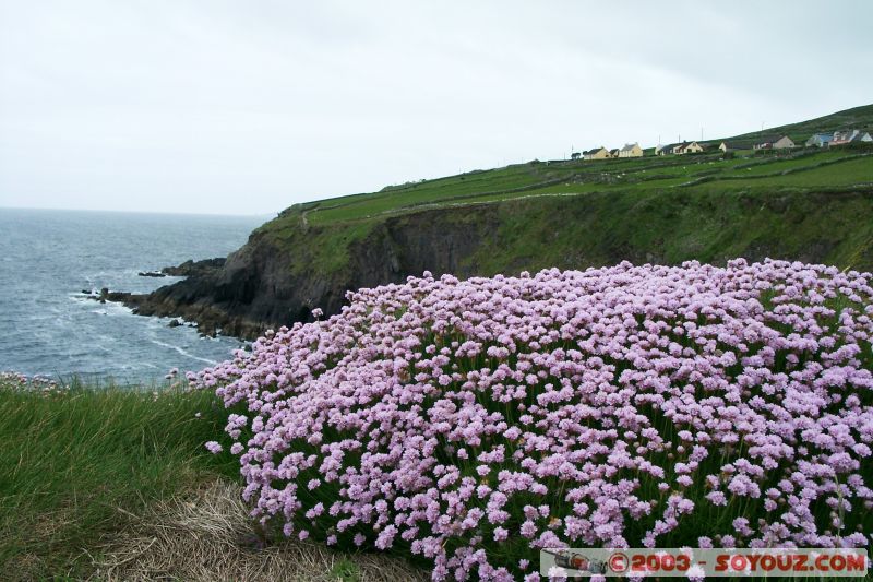 Dingle Peninsula
