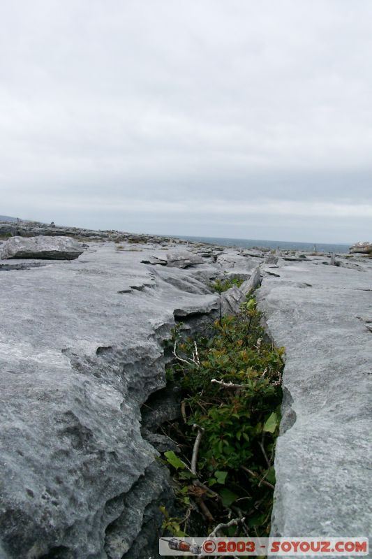 The Burren
