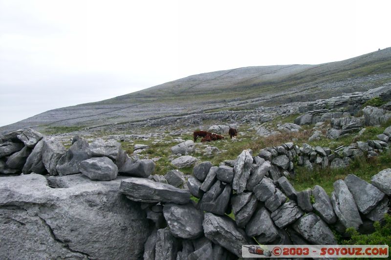 The Burren
