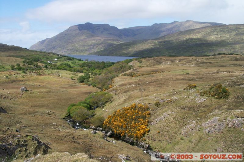 Connemara
