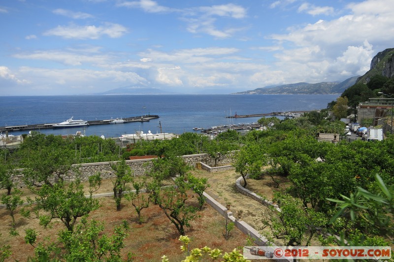 Capri - vista dalla Funicolar
Mots-clés: Campania Capri geo:lat=40.55472278 geo:lon=14.24008000 geotagged ITA Italie Marina Grande Di Capri