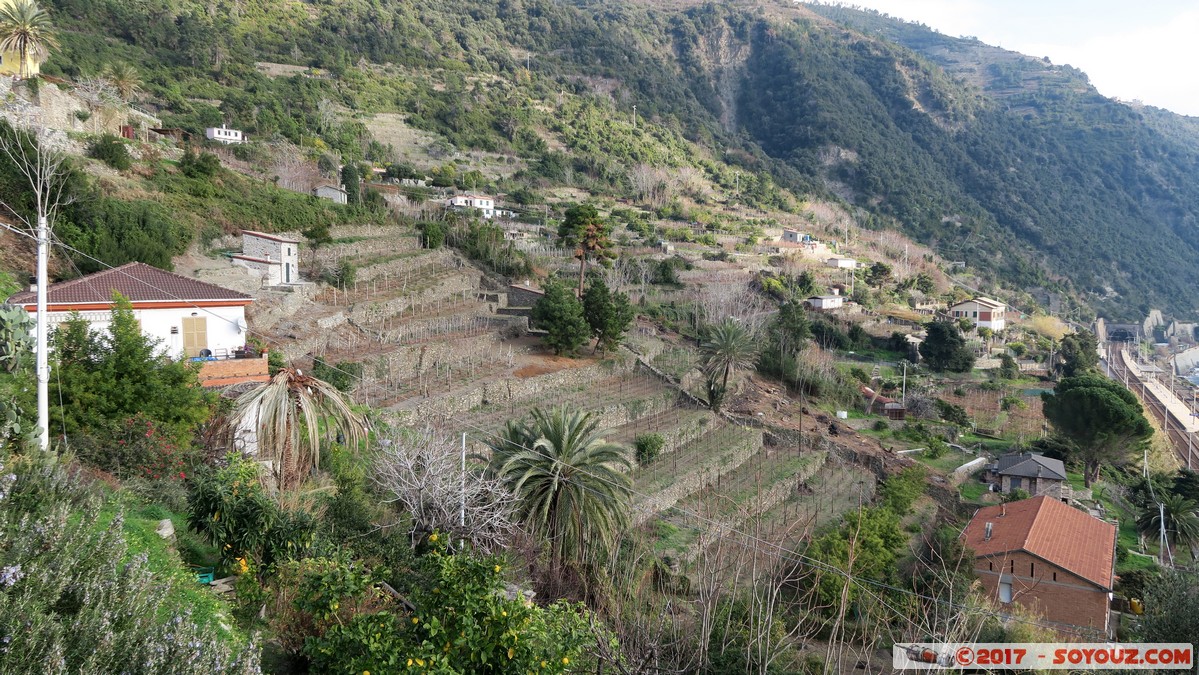 Cinque Terre - Corniglia
Mots-clés: Corniglia ITA Italie Liguria Parco Nazionale delle Cinque Terre patrimoine unesco vignes