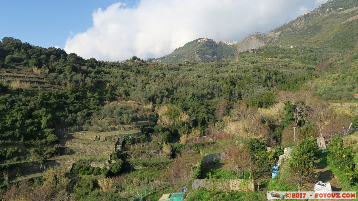 Cinque Terre - Corniglia
Mots-clés: Corniglia ITA Italie Liguria Parco Nazionale delle Cinque Terre patrimoine unesco vignes