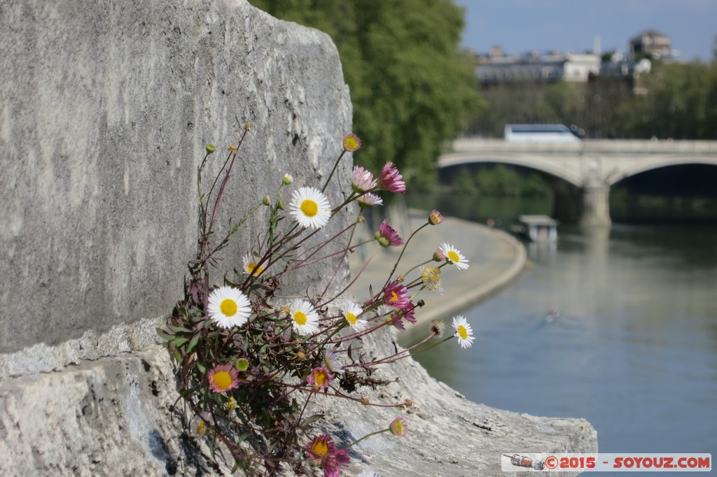 Roma - Castel Sant'Angelo - Tevere
Mots-clés: geo:lat=41.90205173 geo:lon=12.46649382 geotagged ITA Italie Lazio Ponte Roma patrimoine unesco Castel Sant'Angelo fleur Riviere