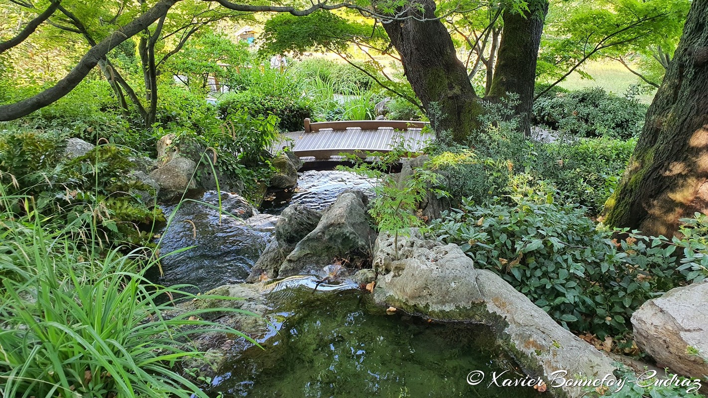 Roma
Mots-clés: Italie Lazio Trastevere Orto Botanico Parc