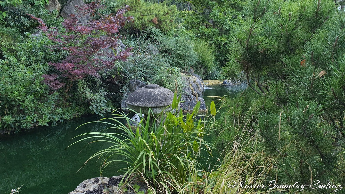 Roma
Mots-clés: Italie Lazio Trastevere Orto Botanico Parc