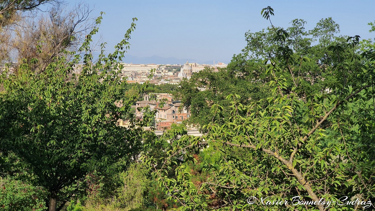 Roma
Mots-clés: Italie Lazio Trastevere Orto Botanico Parc