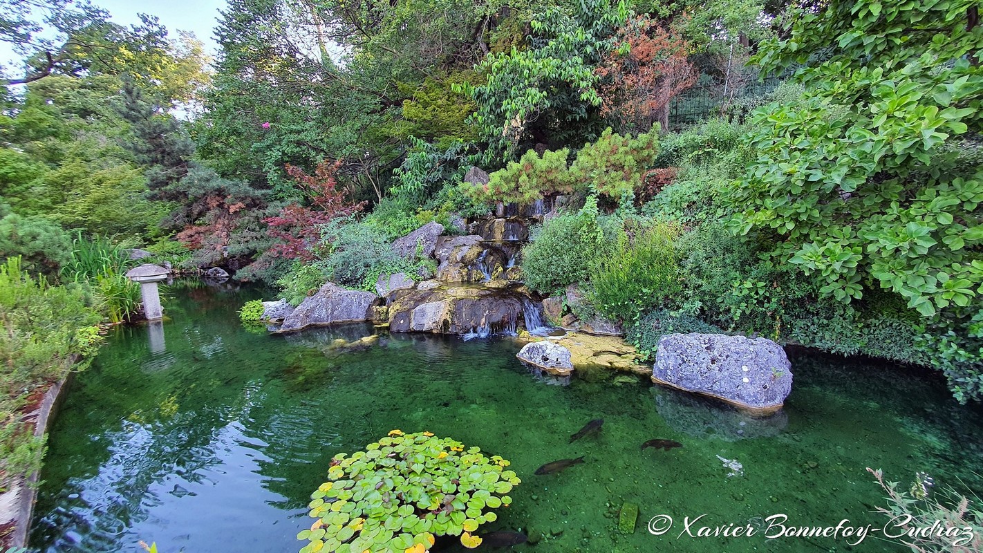 Roma
Mots-clés: Italie Lazio Trastevere Orto Botanico Parc