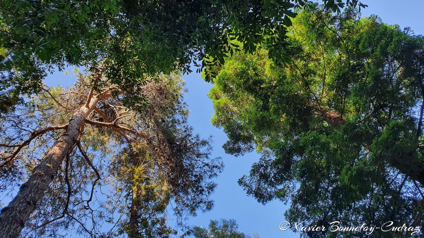 Roma
Mots-clés: Italie Lazio Trastevere Orto Botanico Parc