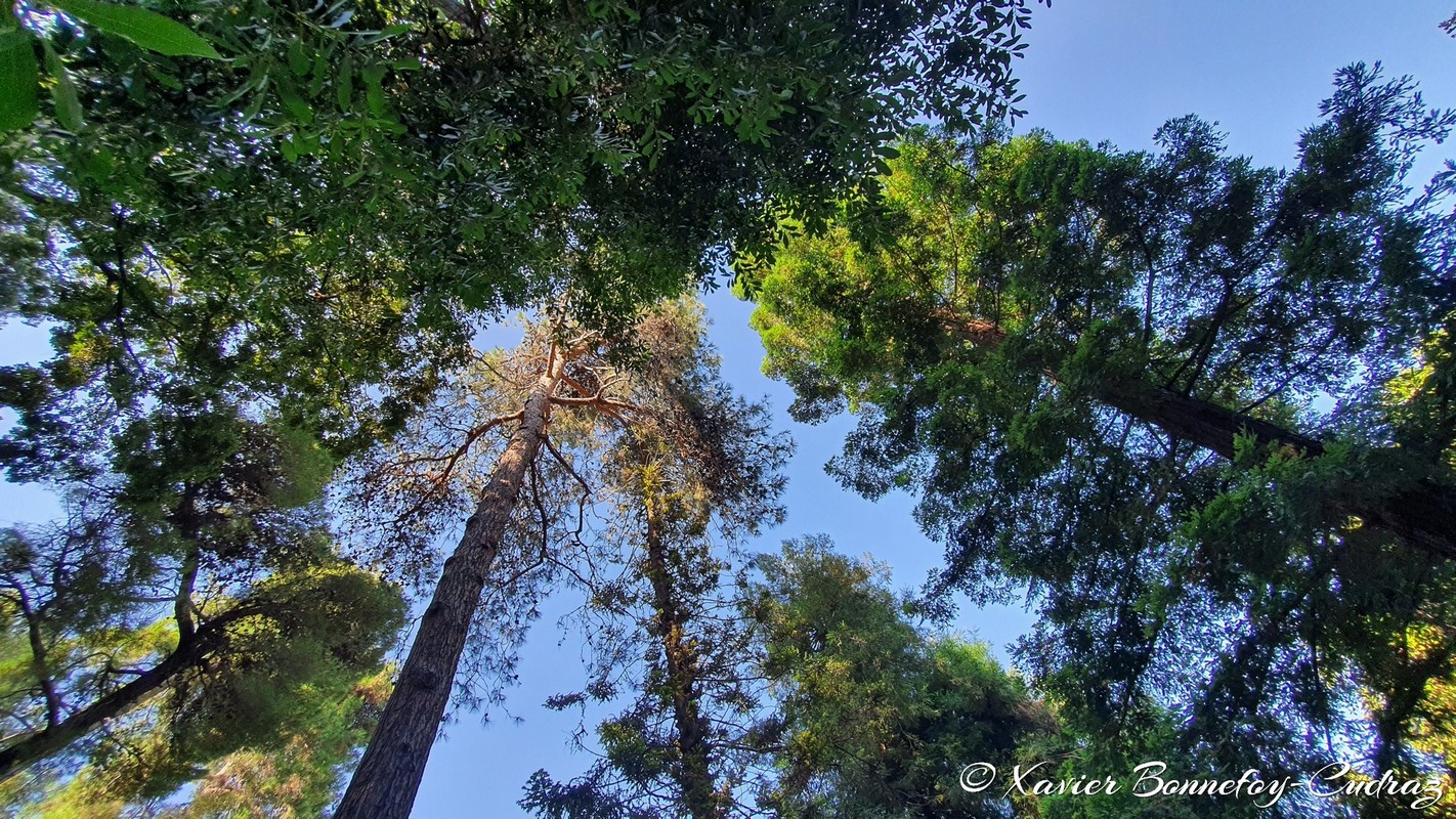 Roma
Mots-clés: Italie Lazio Trastevere Orto Botanico Parc