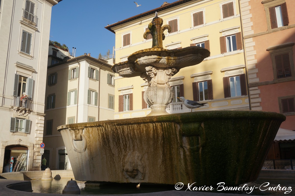 Roma - Fontana di Piazza Farnese
Mots-clés: geo:lat=41.89514790 geo:lon=12.47127161 geotagged ITA Italie Lazio Regola Torre Spaccata Roma Fontaine Fontana di Piazza Farnese Mouette oiseau animals