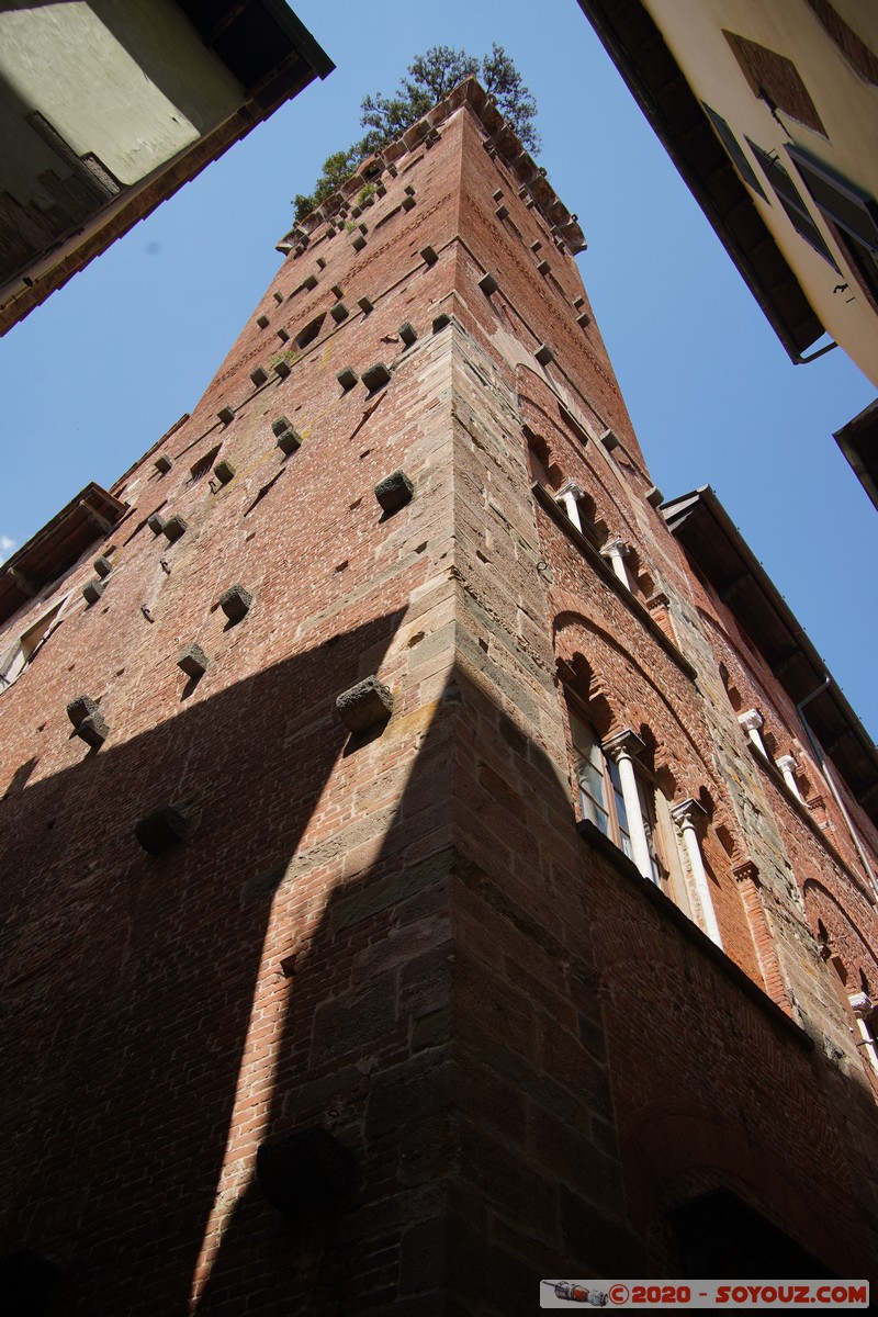 Lucca - Torre Guinigi
Mots-clés: geo:lat=43.84370057 geo:lon=10.50685301 geotagged ITA Italie Lucca Toscana Torre Guinigi