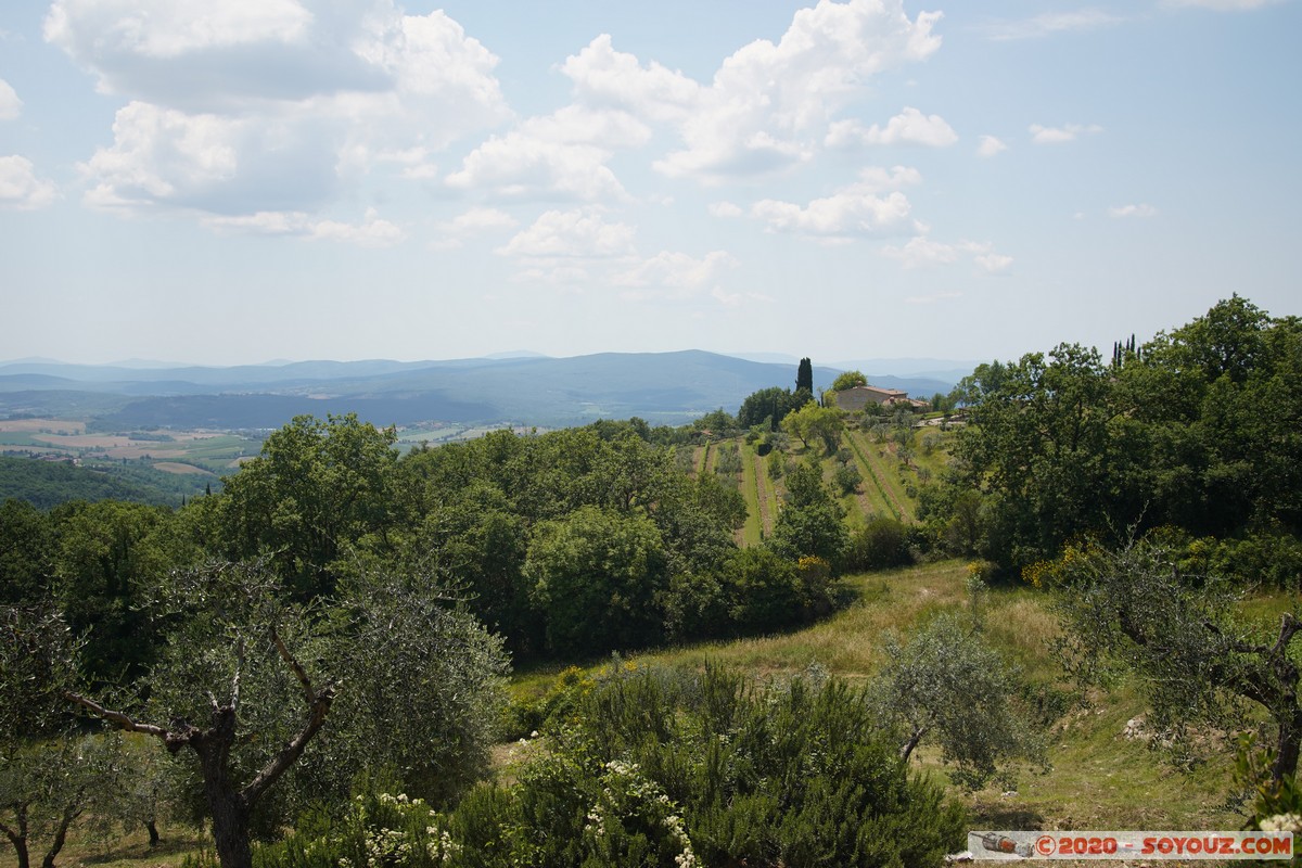Campagna toscana
Mots-clés: Toscana plante Arbres paysage ITA Italie