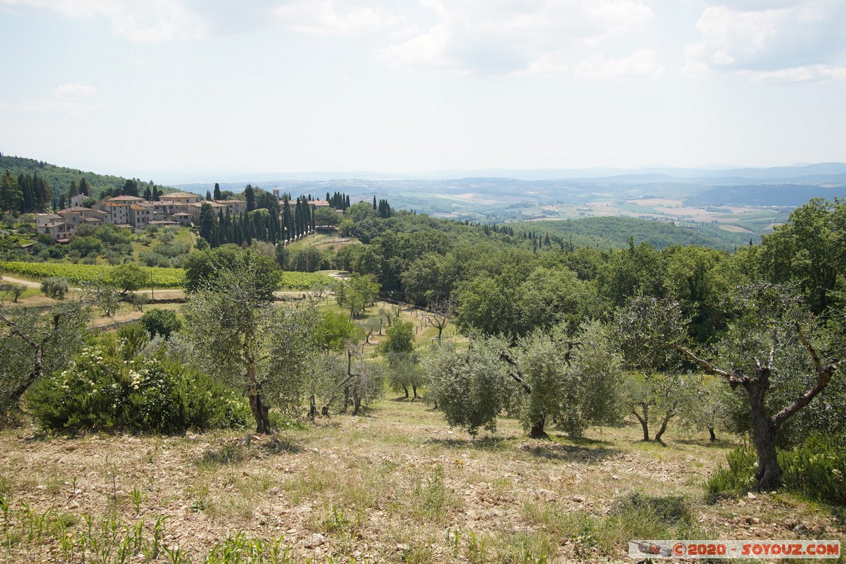 Campagna toscana
Mots-clés: Toscana plante Arbres paysage ITA Italie