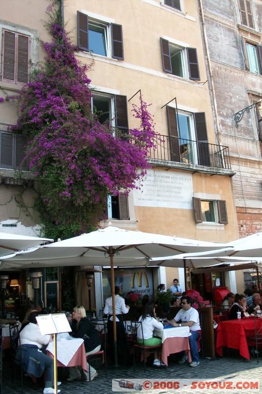 Piazza della Rotonda
