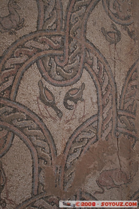 Ohrid - Plaosnik - ruines romaines
Mots-clés: patrimoine unesco Ruines Romain Mosaique