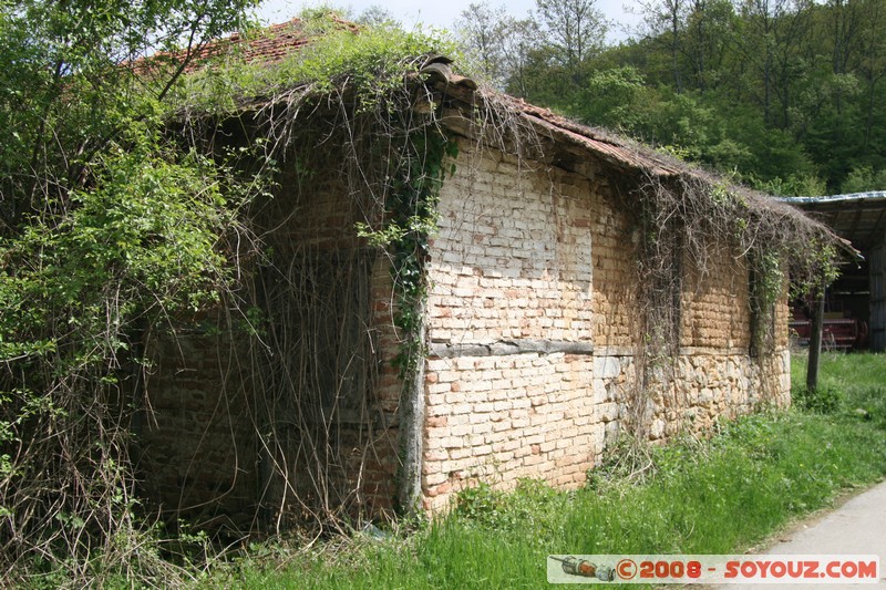 Sveti Naum - farm
Mots-clés: patrimoine unesco