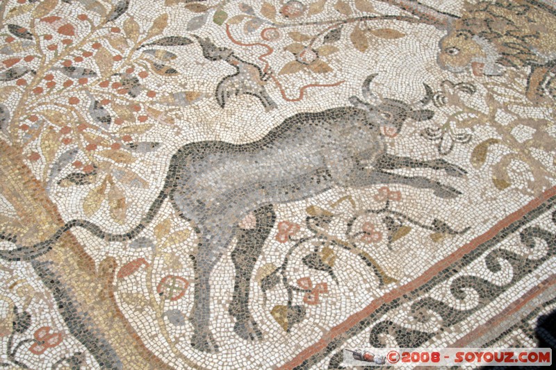 Bitola - Heraclea - Mosaic
Mots-clés: Ruines Romain Mosaique