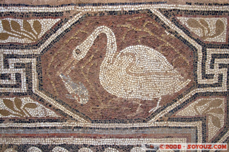 Bitola - Heraclea - Mosaic
Mots-clés: Ruines Romain Mosaique