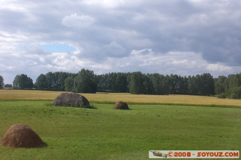 Novosibirsk - Tomsk - paysage
