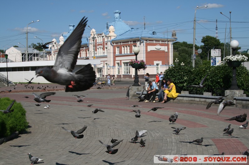 Tomsk - Place Lenine
Mots-clés: animals oiseau pigeon