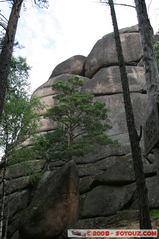 Reserve Naturelle de Stolby
Mots-clés: Arbres