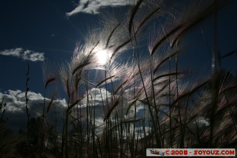 Nizhneangarsk
Mots-clés: Insolite sunset