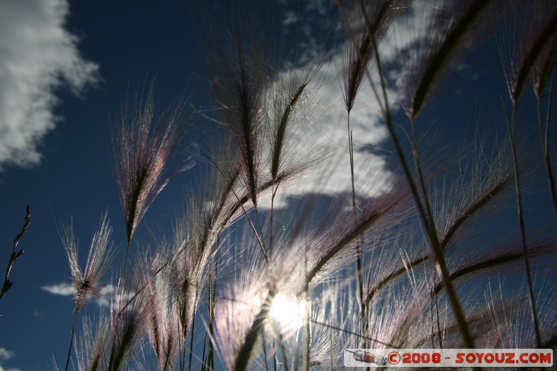 Nizhneangarsk
Mots-clés: Insolite sunset