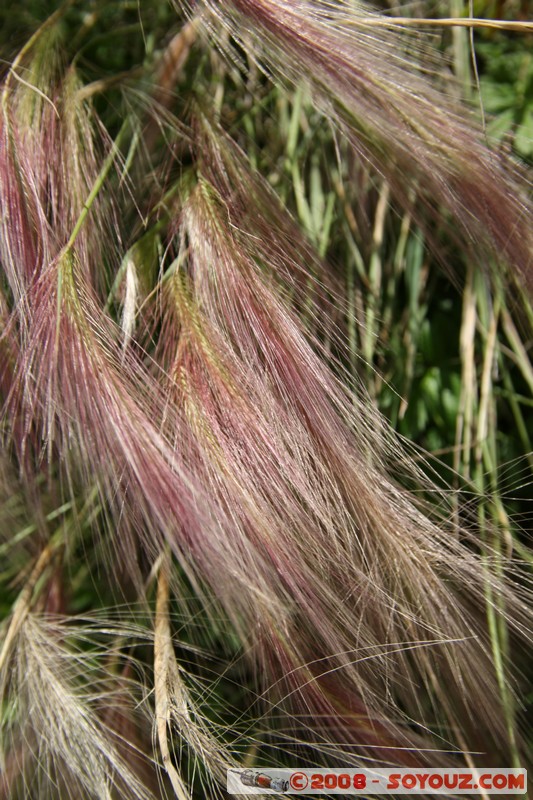 Nizhneangarsk - Marecages
Mots-clés: sunset