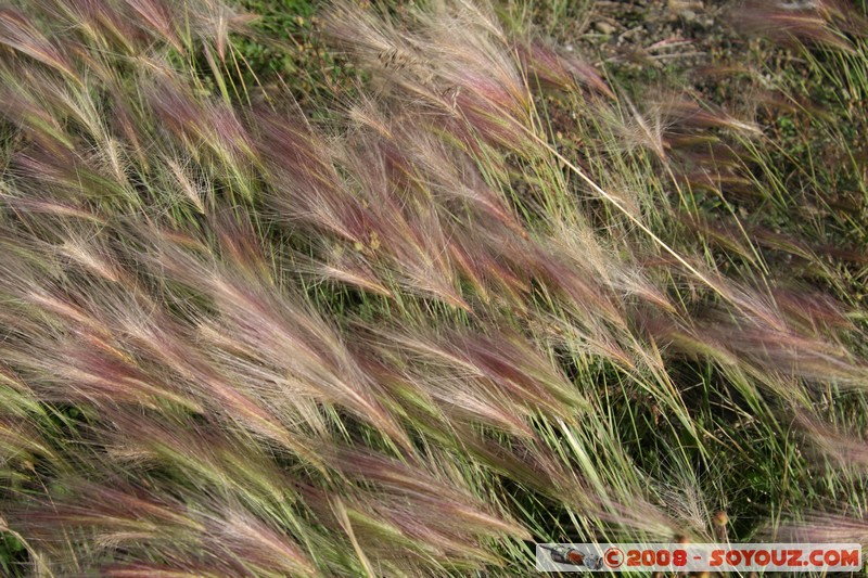 Nizhneangarsk - Marecages
Mots-clés: sunset