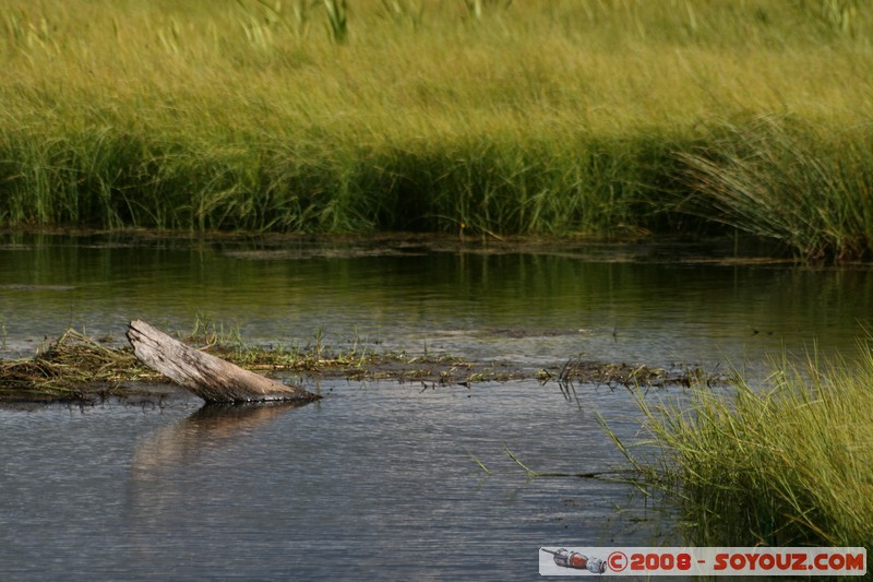 Nizhneangarsk - Marecages
Mots-clés: sunset