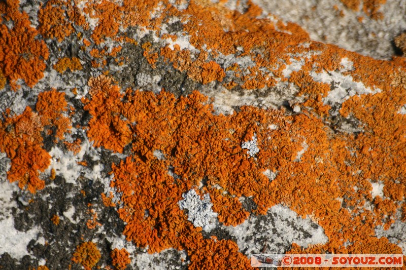 Olkhon - Khuzir - Sunset time
Mots-clés: sunset