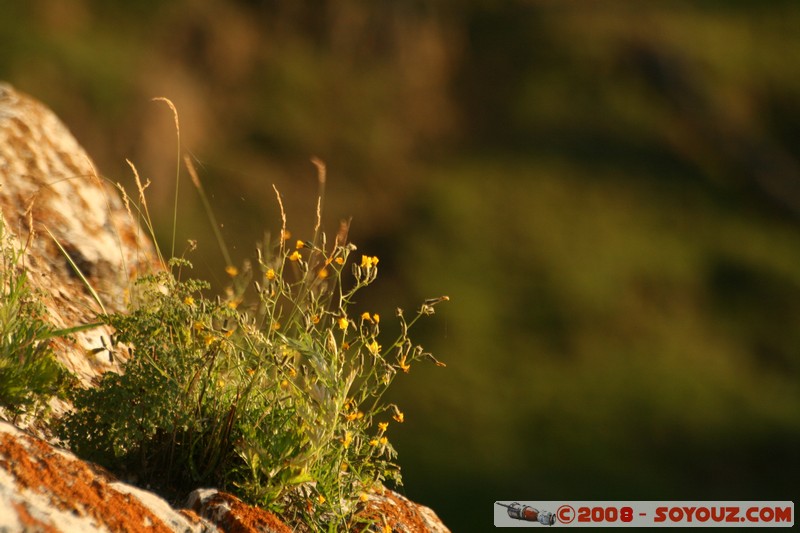 Olkhon - Khuzir - Sunset time
Mots-clés: sunset