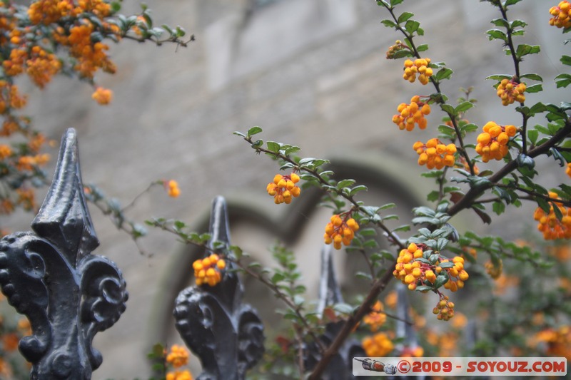 Edinburgh - Royal Mile
Canongate, Edinburgh, City of Edinburgh EH8 8, UK
